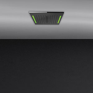 ceiling-mounted shower head