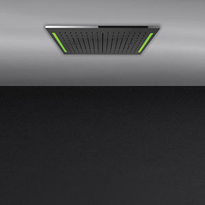 ceiling-mounted shower head