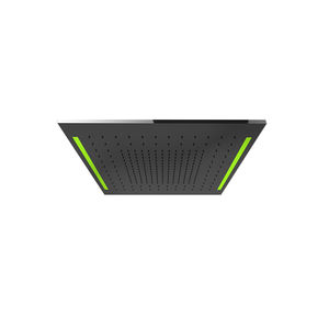 ceiling-mounted shower head 1