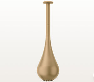 hanging shower head 1