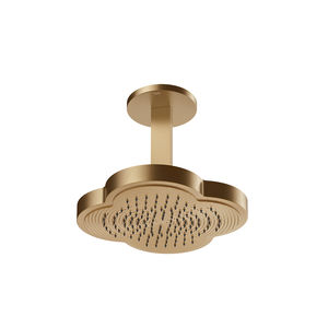 wall-mounted shower head 1
