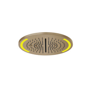 recessed ceiling shower head