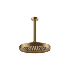 hanging shower head 1