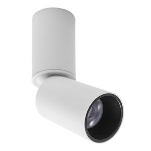 ceiling-mounted spotlight
