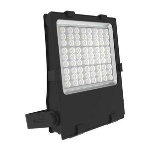 IP66 floodlight 1