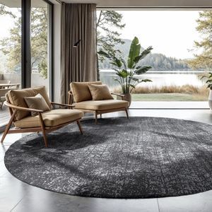 contemporary rug