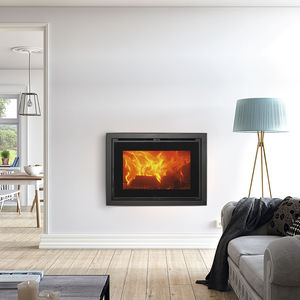 wood-burning fireplace insert