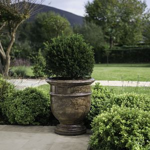 terracotta plant pot 1