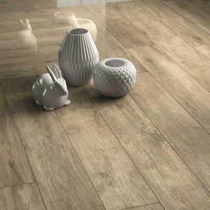 porcelain stoneware tile 1