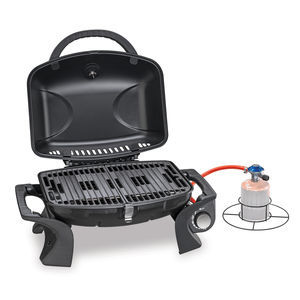 gas barbecue