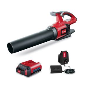 handheld leaf blower
