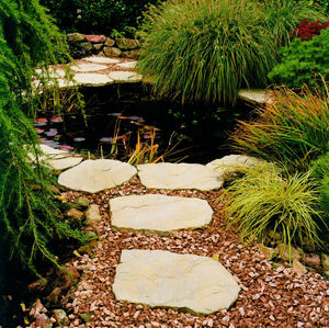 stepping stone