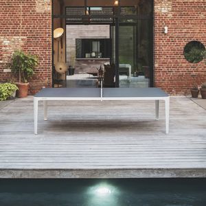 indoor ping pong table