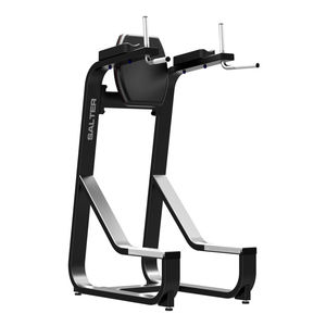 dips weight training machine