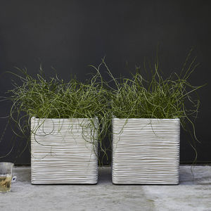 plastic planter