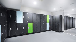 laminate locker