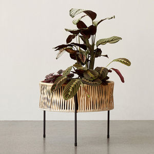 rattan planter