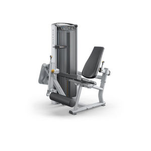 Matrix leg best sale extension machine