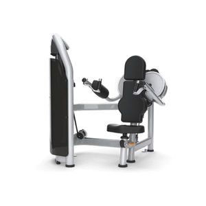 arm curl weight training machine / shoulder press