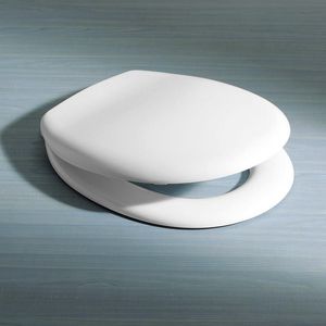 toilet seat
