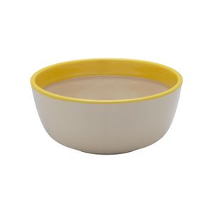 porcelain bowl