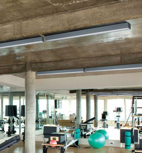 hanging light fixture 1