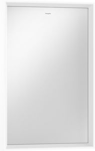 wall-mounted bathroom mirror