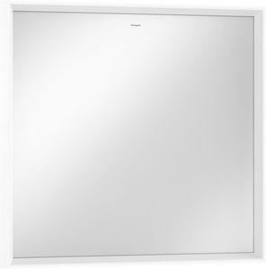 wall-mounted bathroom mirror