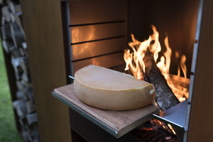 wood-burning griddle