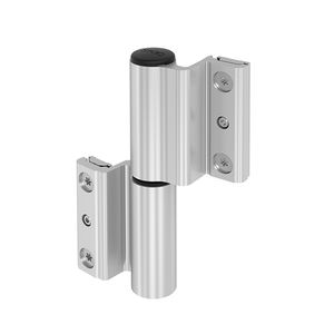 door hinge 1