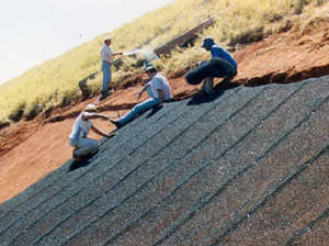 reinforcement geogrid