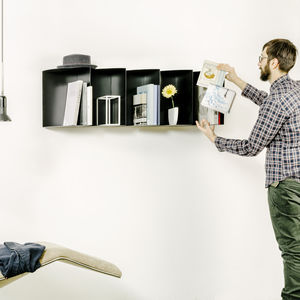wall-mounted shelves