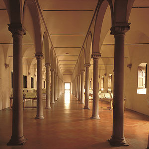 indoor tiles / outdoor / for floors / terracotta