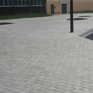 concrete paver
