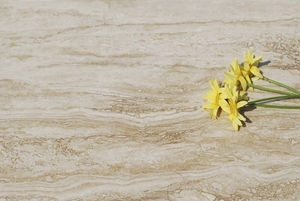 indoor tiles
