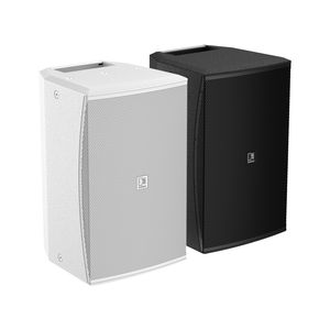 wall-mounted loudspeaker