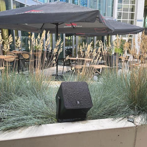 wall-mounted loudspeaker