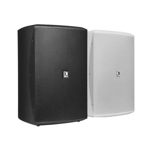wall-mounted loudspeaker 1