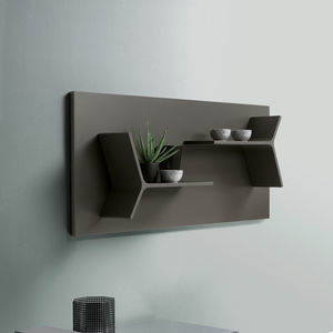 wall-mounted shelves