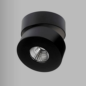 ceiling-mounted spotlight 1
