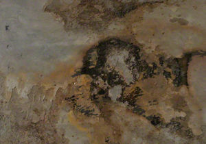 interior decorative panel