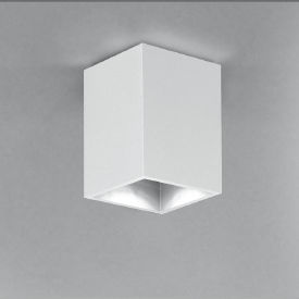 surface mounted downlight