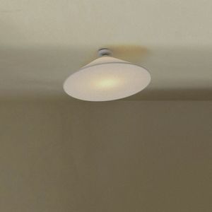 circular ceiling light 1