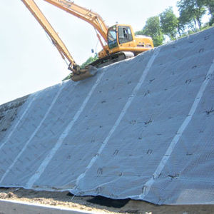 erosion control geogrid