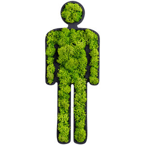 moss living frame