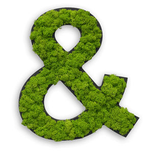 moss living frame