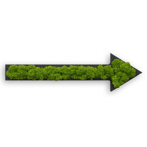 moss living frame
