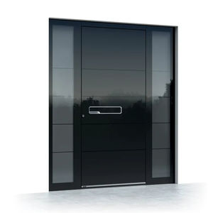 entry door 1