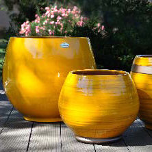 terracotta plant pot
