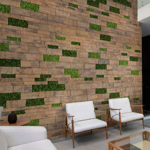 preserved green wall